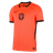 NED kit